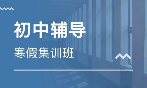 山东世阅伟读教育咨询有限公司及淘学培训服务评价与解析